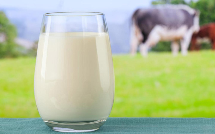 شیر گاو ماسب ترین تغذیه مادران در شیردهی